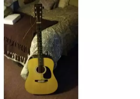 Acoustic  Guitar